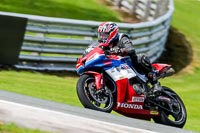 PJ-Motorsport-2019;anglesey;brands-hatch;cadwell-park;croft;donington-park;enduro-digital-images;event-digital-images;eventdigitalimages;mallory;no-limits;oulton-park;peter-wileman-photography;racing-digital-images;silverstone;snetterton;trackday-digital-images;trackday-photos;vmcc-banbury-run;welsh-2-day-enduro